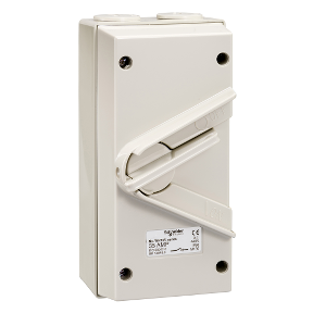 35A Single Pole W/P ISOLATOR SCHNEIDER PCS